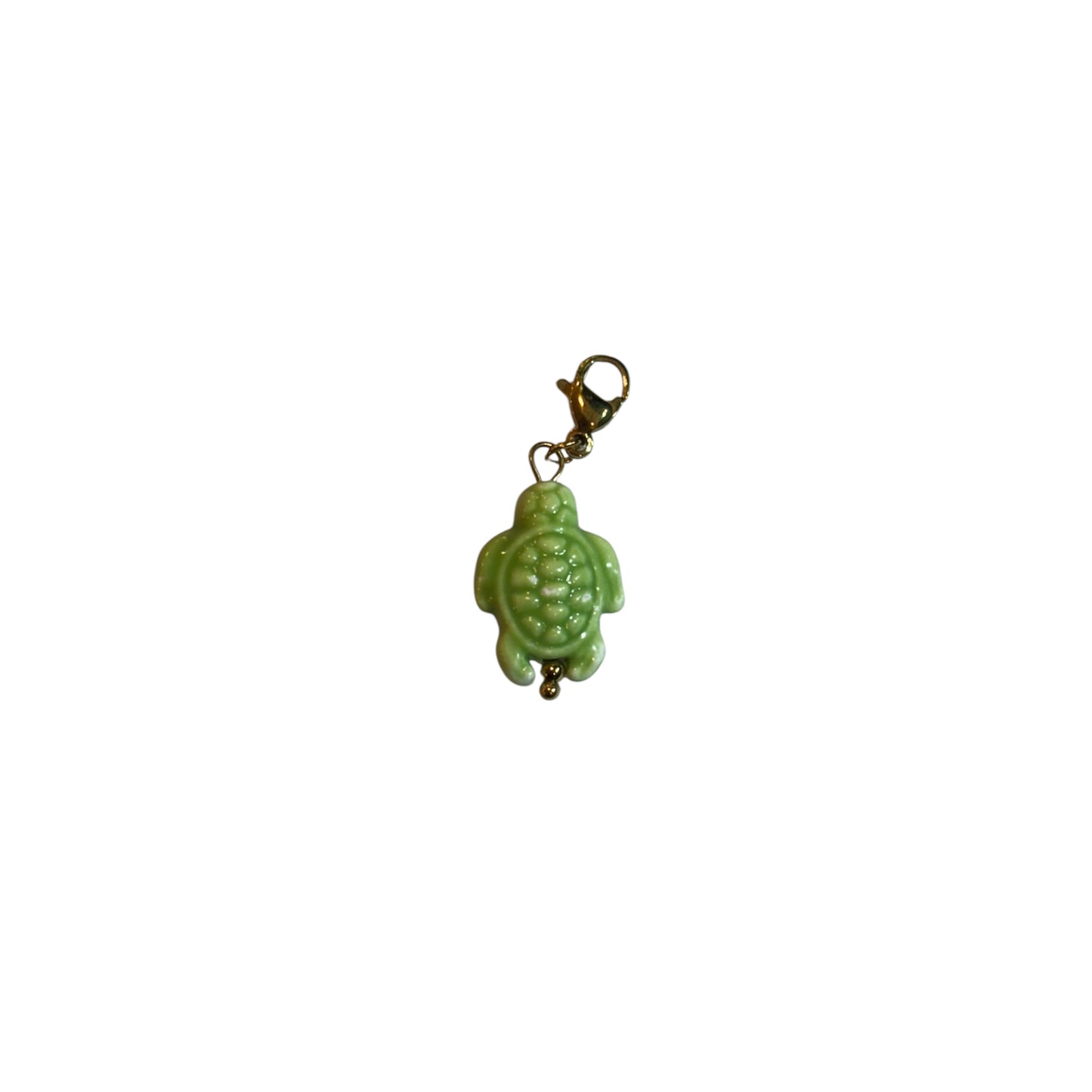 Charms tortue