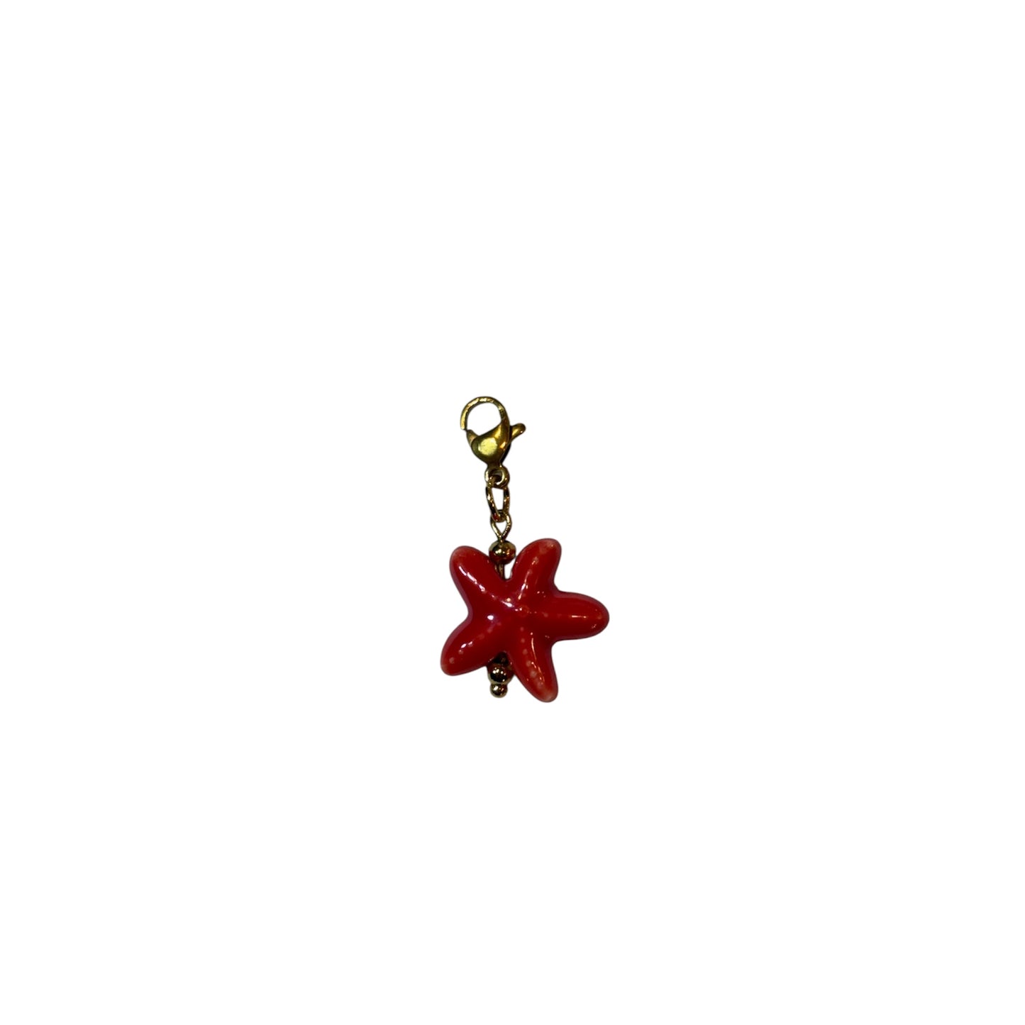 Charms étoile de mer