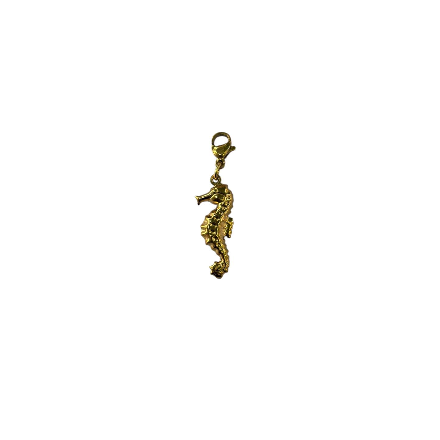 Charms petit hippocampe