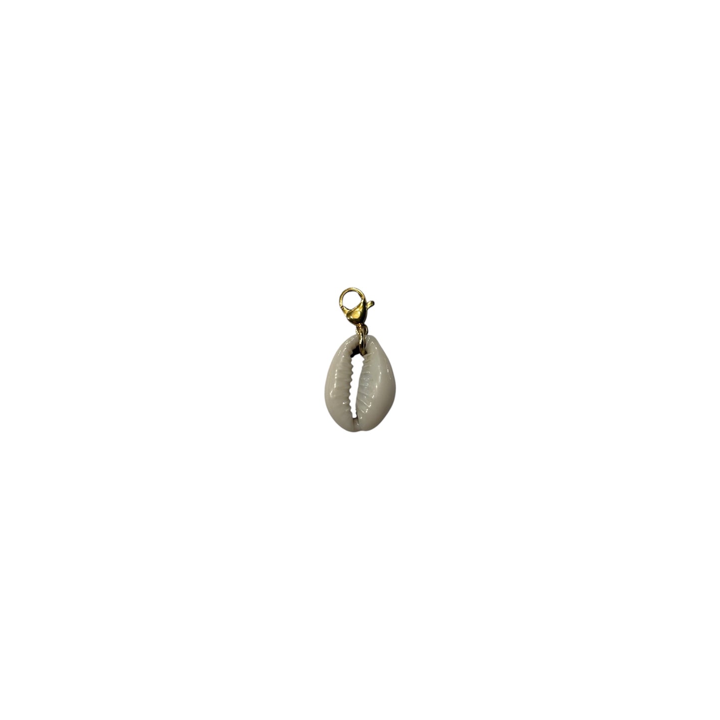 Charms veritable cauri
